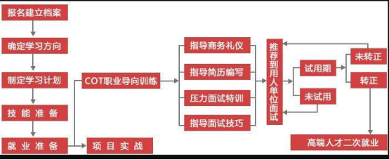 就业流程图